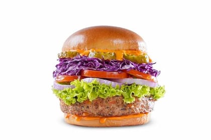 Veggienator Burger (15gms Protein)