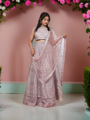 Embroidered & Zari Thread Work Lehenga Choli Set-Onion / Free Size