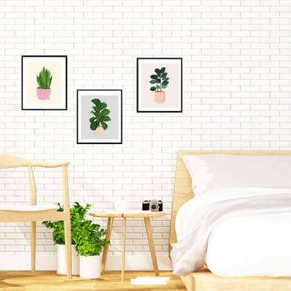 House Plants Framed Wall Art (Set of 3 - Fiddle-fig, Rubber, Snake)-8x10 inches / White Frame