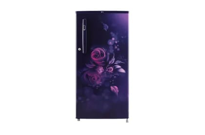 LG Direct Cool GL-D199OBEC 185 Liters BLue Euphoria-BLue Euphoria