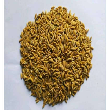 Paddy - 1 kg