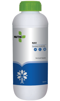 NUTRI ONE NJAX