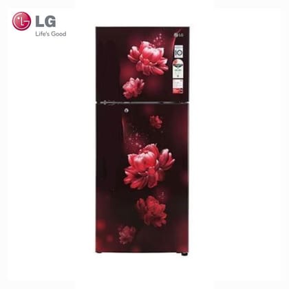 LG 242L 2 Star Smart Inverter Compressor Scarlet Charm Finish Frost-Free Double Door Refrigerator-shiny steel