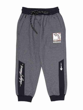 Albion Kids Boys Blue Casual Jogger