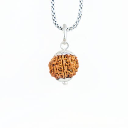 Silver Capping 9 Mukhi Rudraksha Pendant With Chain  ( Nepali )-Only Rudraksha