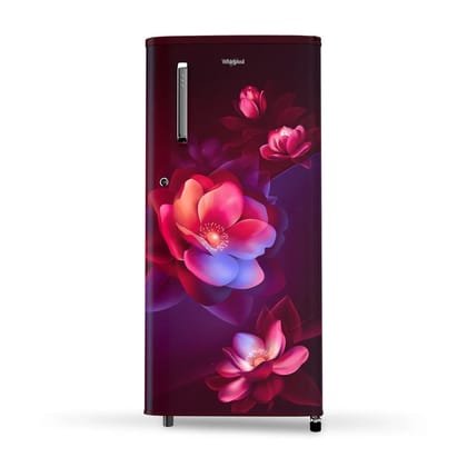 WDE 184L 2 Star Single Door Refrigerator with Handle Wine Bloom