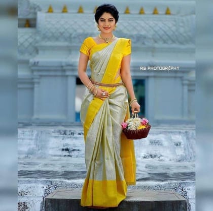 Thistle White Banarasi Silk Saree