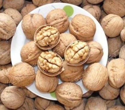 Freshtige California Walnuts with Shell | Whole Inshell Walnuts | Sabut Akhrot 2