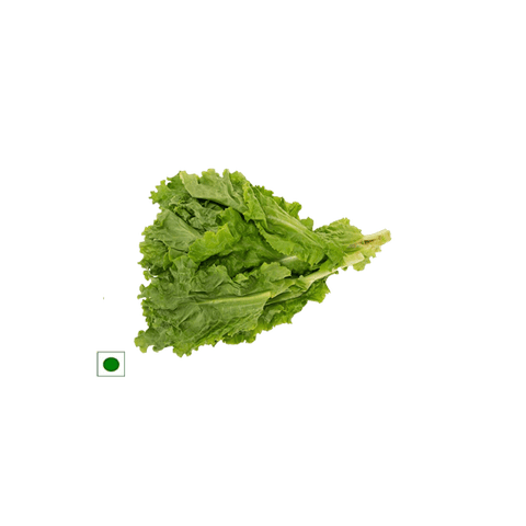 Fresh Lettuce Green\, 1 Unit