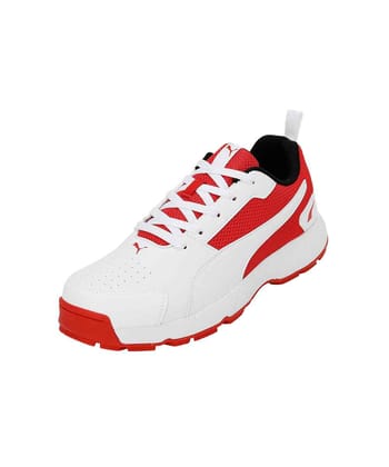 Cricket High Run Men's Shoes