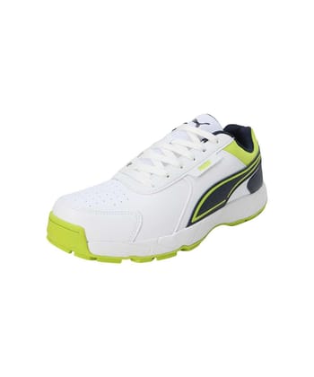 PUMA Cricket Strike Men's Shoes