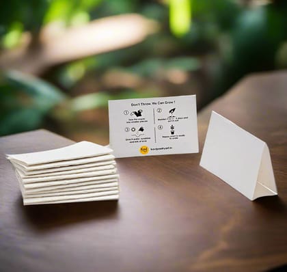 DIY Seed Paper Cards with Envelopes  (Set of 50)