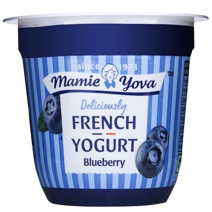 French Yogurt Blueberry 90 Gm