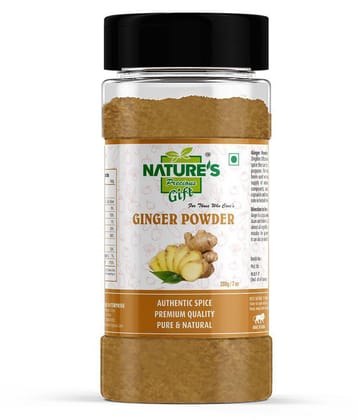 Natures Gift Ginger Powder - 7 Oz Spice Jar Powder 200 gm