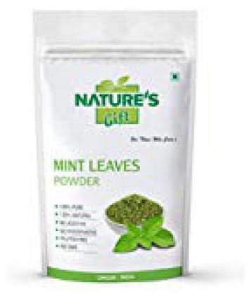 Nature''s Gift MINT LEAVES Powder 200 gm