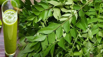 Srihari freshly prepared curry leaf juice