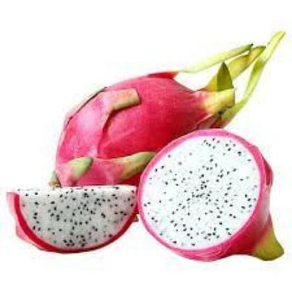 Dragon Fruit Each