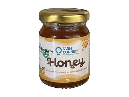 Honey - 70g