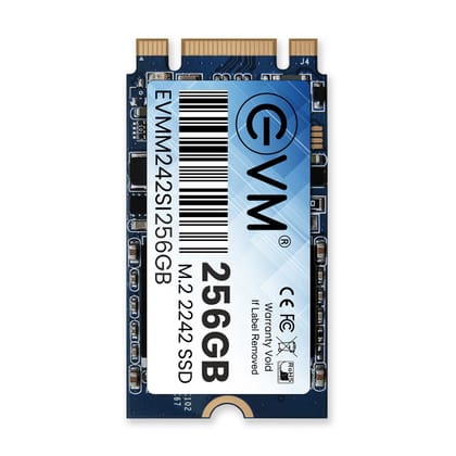 EVM 256GB M.2 2242 SSD