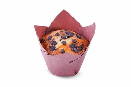 Vanilla Chocochip Muffin