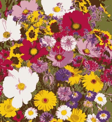 BloomBurst™ - The Flower Seeds Pack of 100