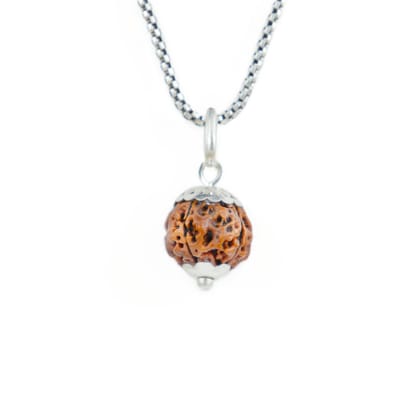 Silver Capping 4 Mukhi Rudraksha Pendant With Chain  ( Nepali )-Only Rudraksha