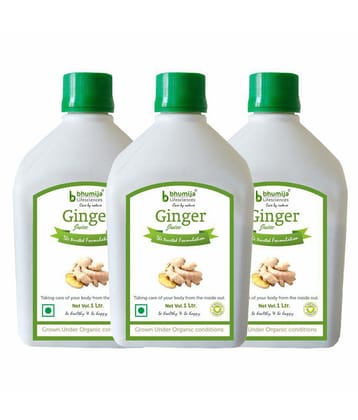 BHUMIJA LIFESCIENCES Ginger Juice   Health Drink Liquid 3 l Pack of 3