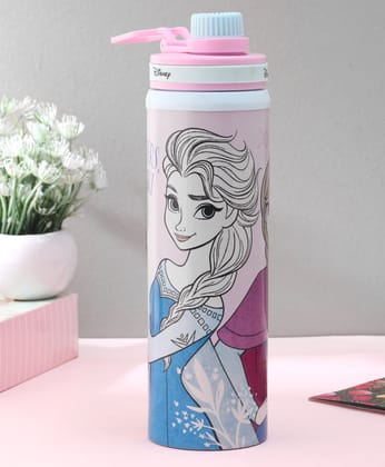 Frozen Steel Water Bottle - 700 ml