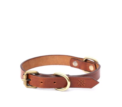 SMALL DOG COLLAR CLASSIC-Tan / Small
