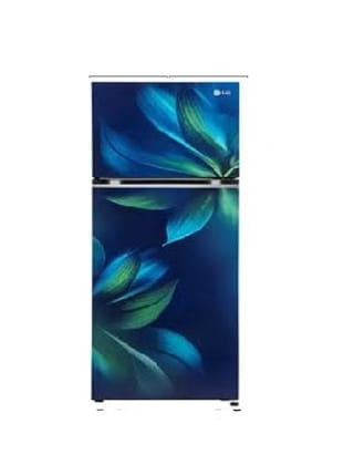 LG GL-S262SBAX 246 Ltrs Double Door Refrigerator Blue Aurora-blue aurora