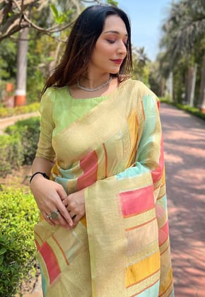 MINT GREEN ORGANZA MULTICOLOR LATEST ZARI WOVEN SAREE