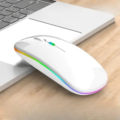 Rechargeable Cordless Mouse-White