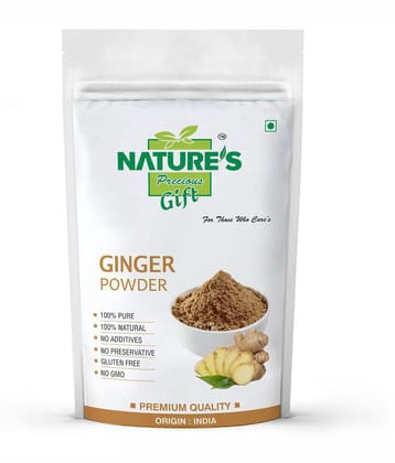 Nature''s Gift - 500 gm Ginger powder (Pack of 1)