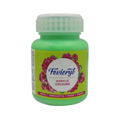 Neon Green Colours 100 ml /Pidilite Fevicryl