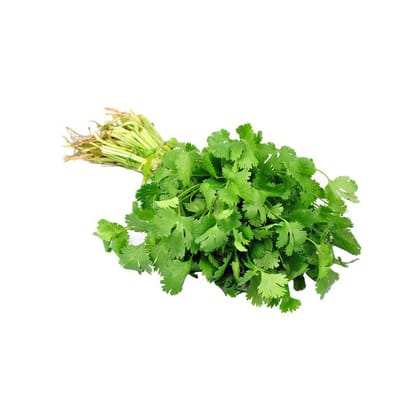 Coriander (Hara Dhaniya) - 100% Safe