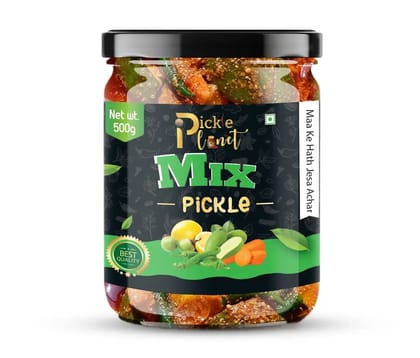 Pickle Planet Mix Pickle | Homemade Pickle | Authentic, Tangy & Delicious Taste | No Artificial Color and Flavors | Gluten Free | Mix Achar (500g)