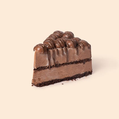 PAPACREAM BELGIAN CHOCOLATE ICE CREAM CAKE SLICE