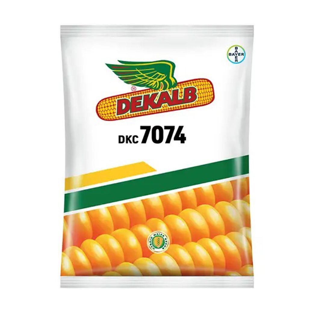 MAIZE MONSANTO DEKALB-7074 AU