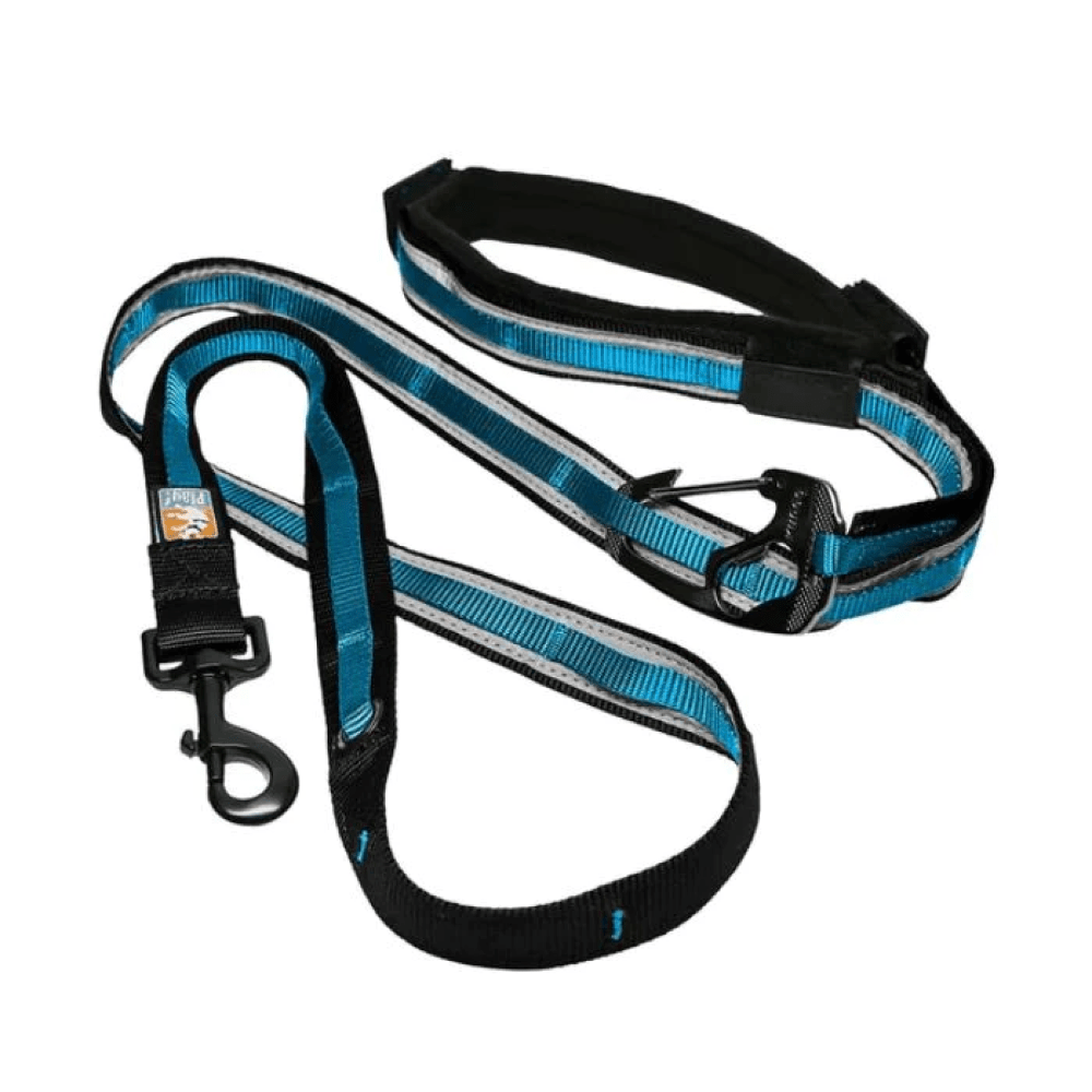 Kurgo Quantum 6 in 1 Dog Leash Coastal Blue-Kurgo Quantum 6 in 1 Dog Leash (Coastal Blue) - 6ft Length