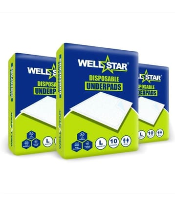 Wellstar Large 30 Pcs Pack of 3