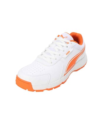 PUMA Cricket Strike Men's Shoes