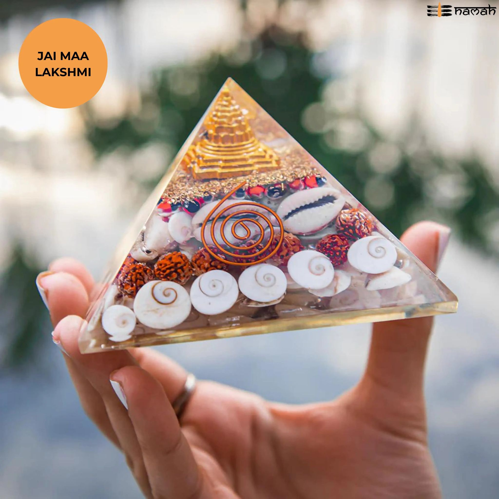 LAXMI WEALTH PYRAMID: For Wealth, Financial Stability and Prosperity