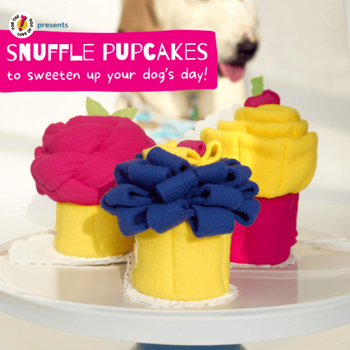 Snuffle Pupcakes-Box of 3