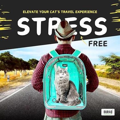Buraq Pet Transparent Cat & Small Dog Puppy Kitty Shihtzu Carriers for Breathable Airline Travel Approved Air Ventilation Backpack Size 17 × 13 × 11 inch (Sea Green, Transparent Pet Bag)