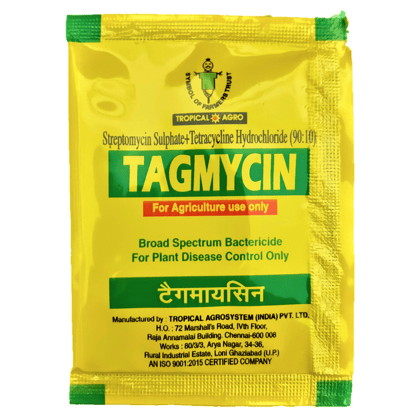 Tagmycin-60gm (6gm x 10pc)