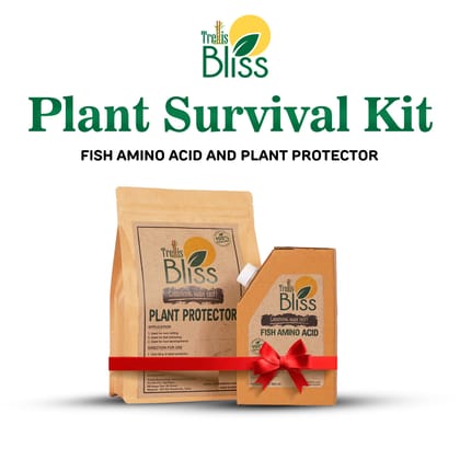 Trellis Bliss Plant Survival Kit