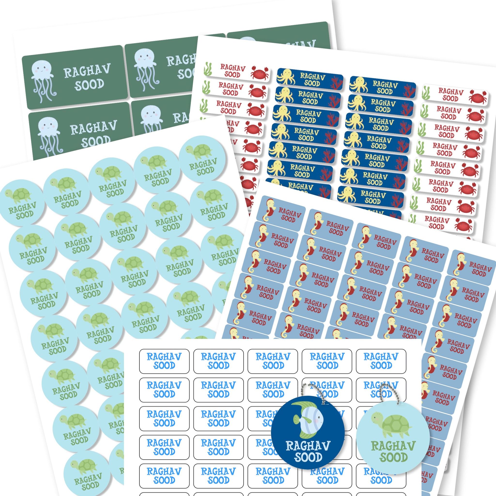 Mixed Pack - Sea Buddies-Small Pack