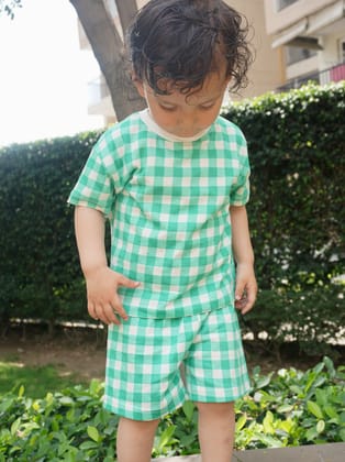 Minty Checks Set-1-2 Y