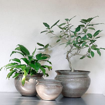 Brown Metal Pot-Large