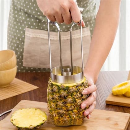 Stainless Steel Pineapple Corer Peeler-Buy 1 Pcs @ Rs 499